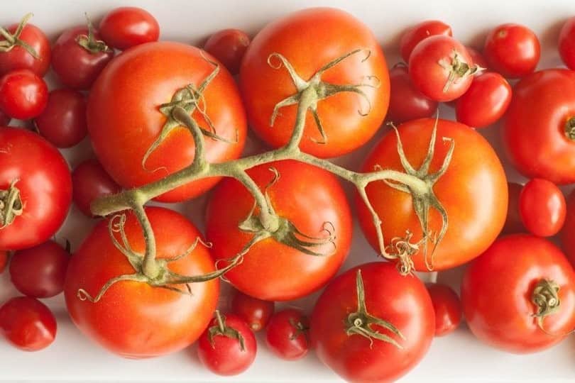 Tomatoes love to sunbathe!