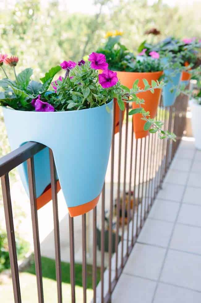 Bring a Contemporary Vibe with a Rail Garden