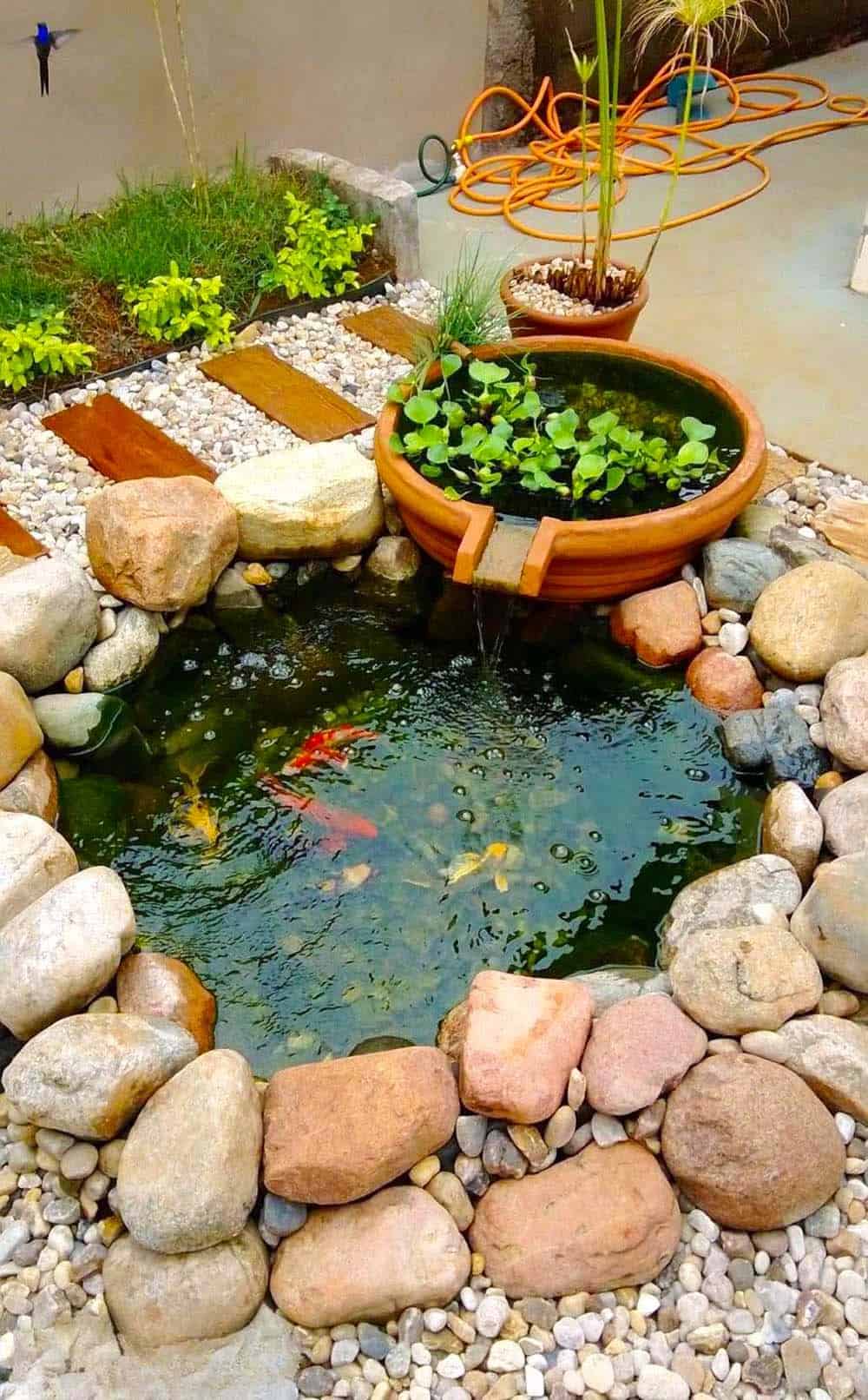 Backyard Pond Oasis