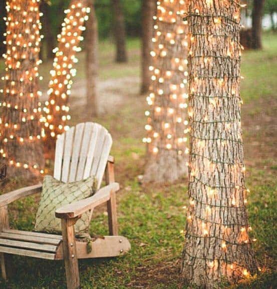 Wrap Christmas Lights around Trees for a Unique Look