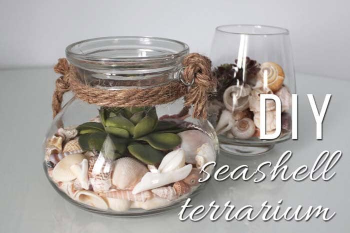 Rustic Seashell Terrarium to Enhance Your Living Room Decor