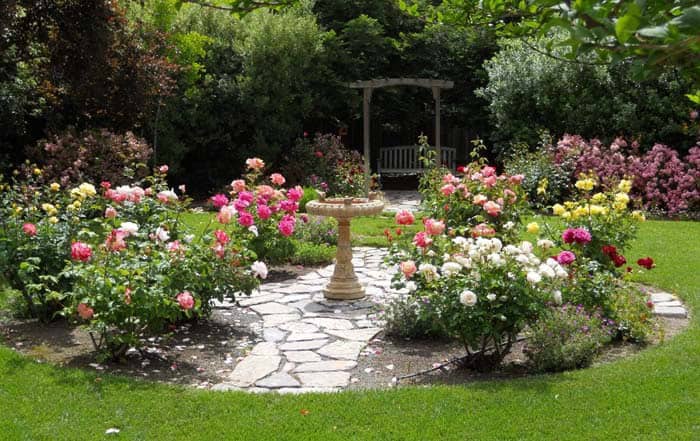 Highlight A Birdbath With Rose Bushes