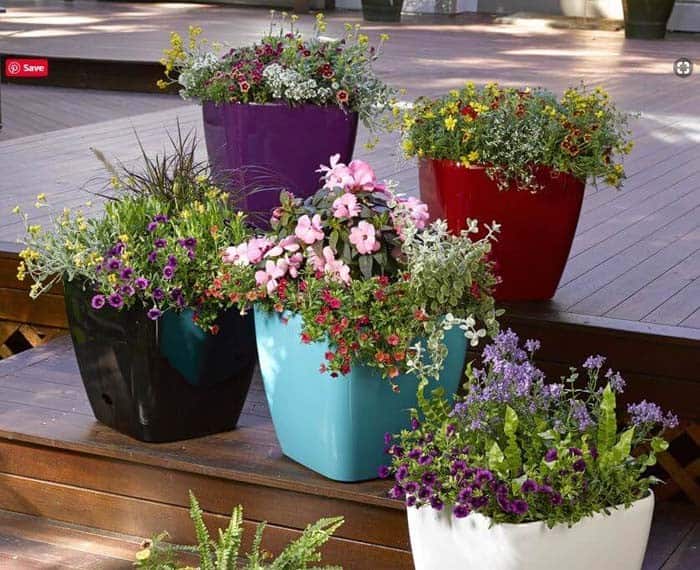 Mixed Color Bright Ceramic Planter Group