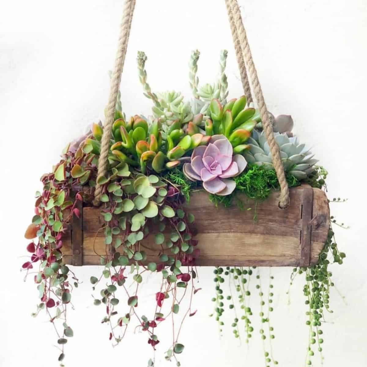 A Rustic Planter