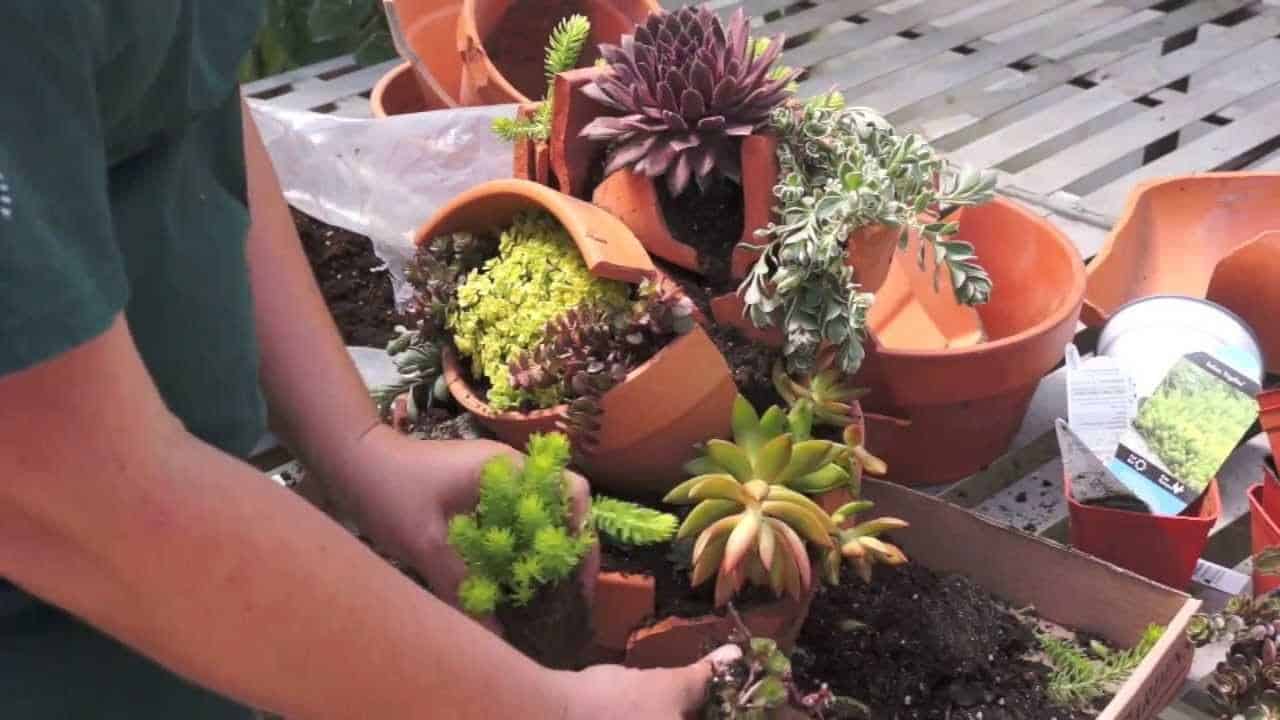 How To DIY Fairy Garden?