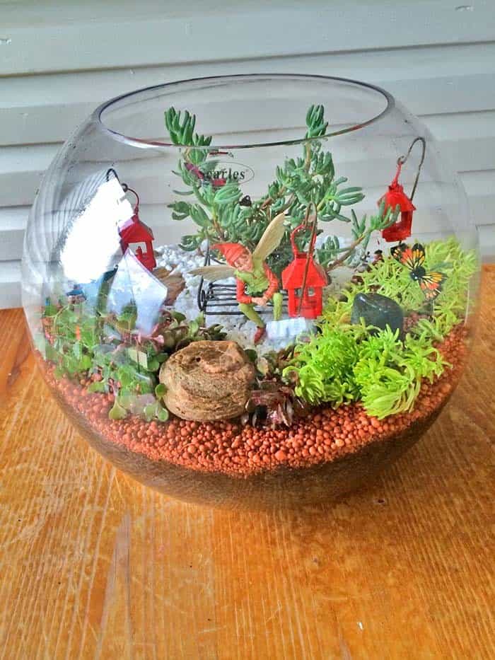 Create an Idyllic Miniature World in a Terrarium