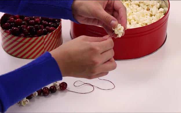 Traditional Popcorn And Berries