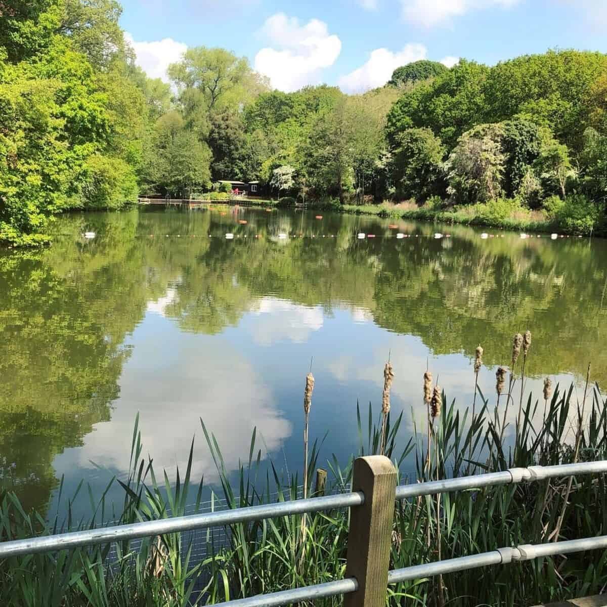 Combined Pool And Breeding Pond