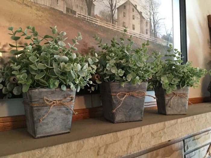 Use Small Galvanized Buckets as Planters