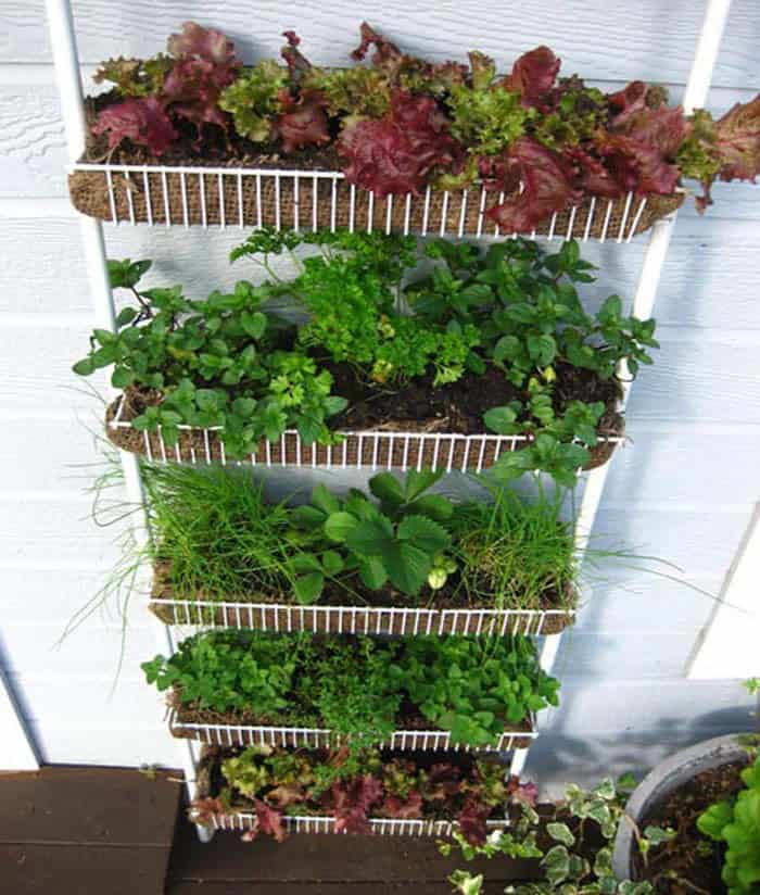 Tiered Vegetable Garden Planter