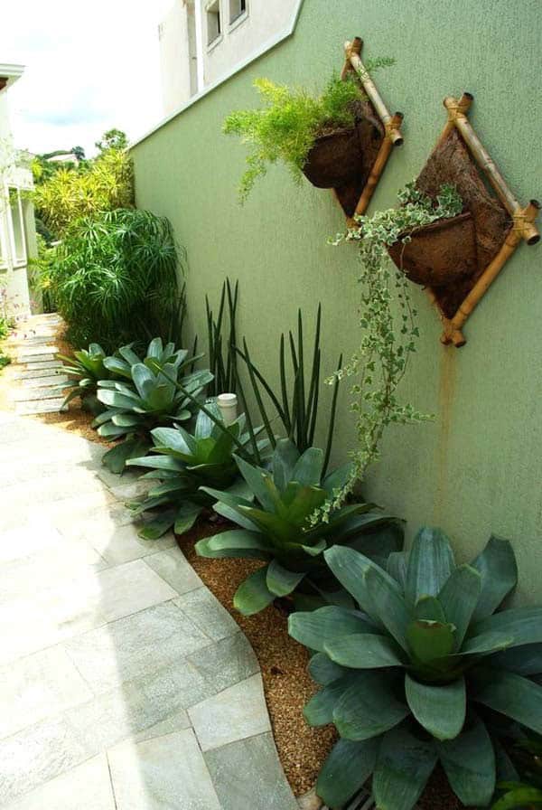 Add Lasting Charm to Your Home with Tropical Plants