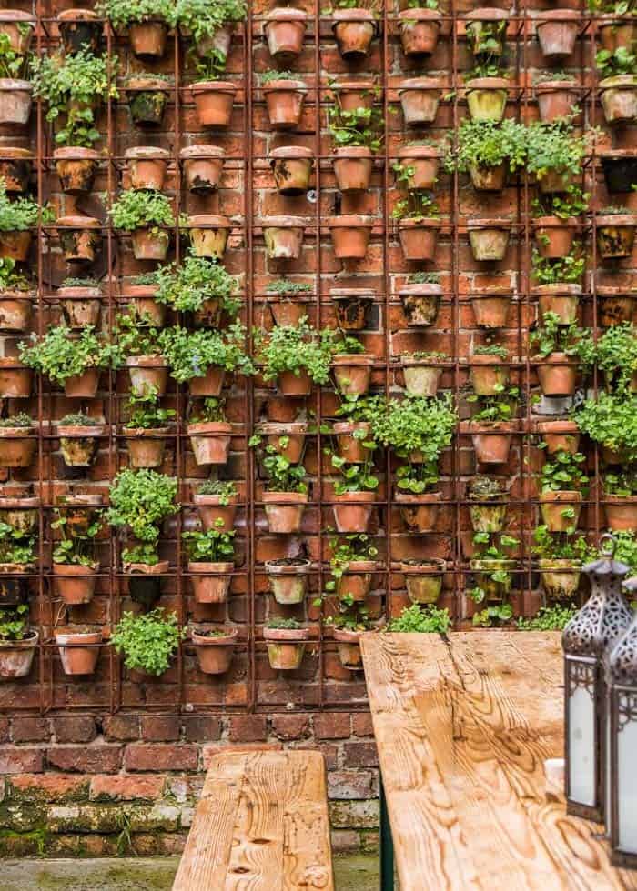 Simple Terracotta Pots Add Dramatic Impact