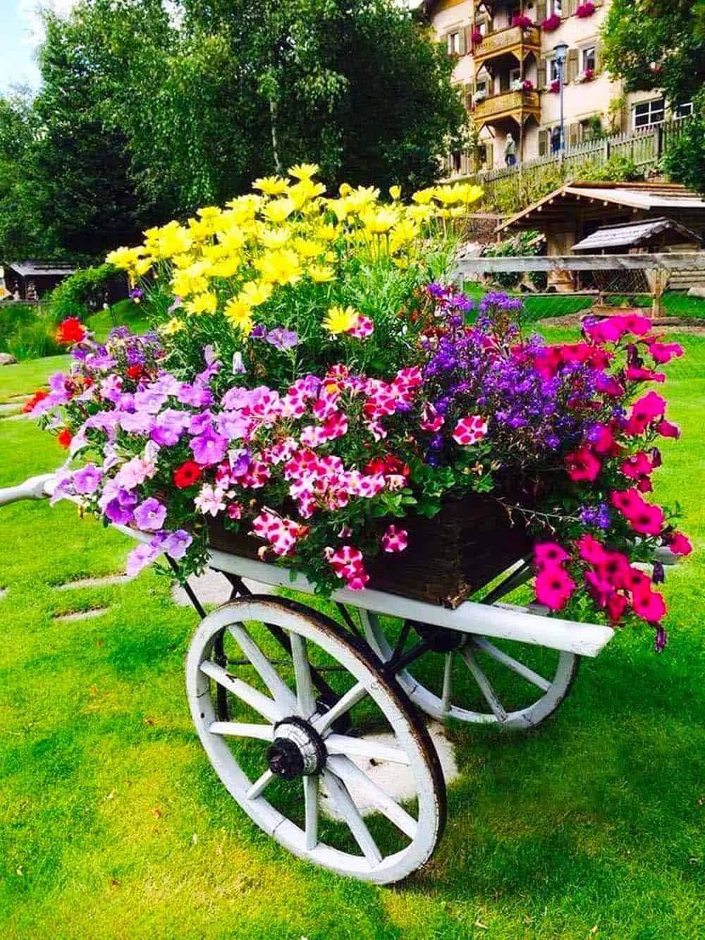 Blooming Cart Display