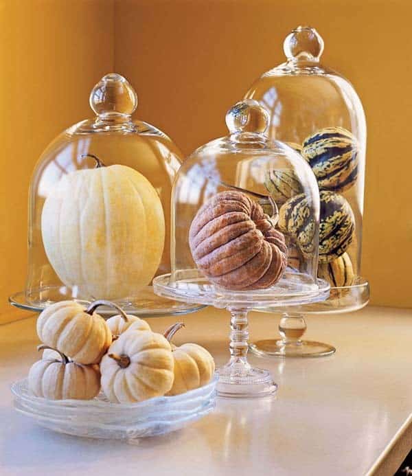 Add a Touch of Class with Pumpkin Glass Cloches