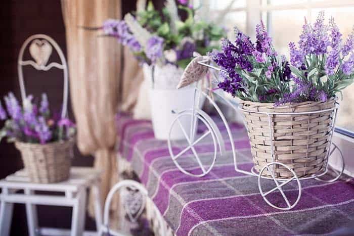 Lavender and Green: The Perfect Color Combination