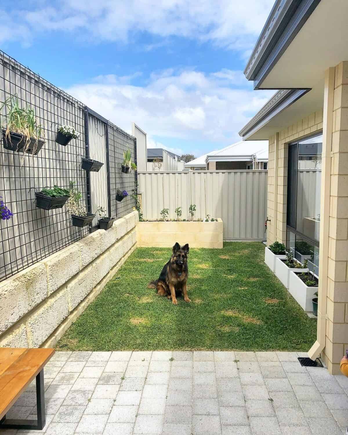 Vertical Landscaping