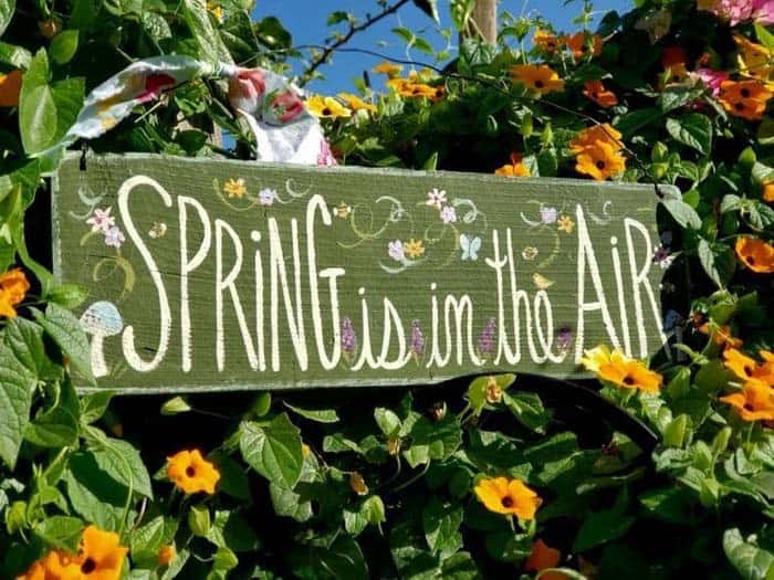 Whimsical Spring Sign For Living Wall