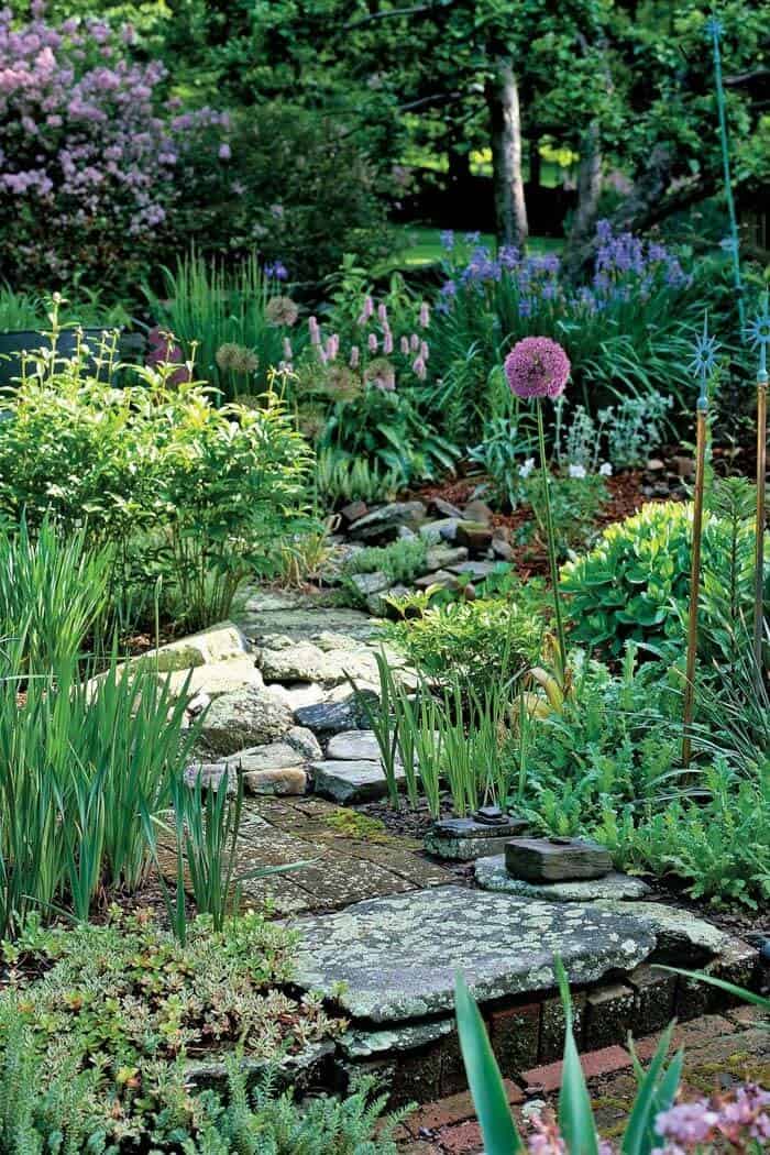 Transform Your Garden with Bursts of Color and Beauty