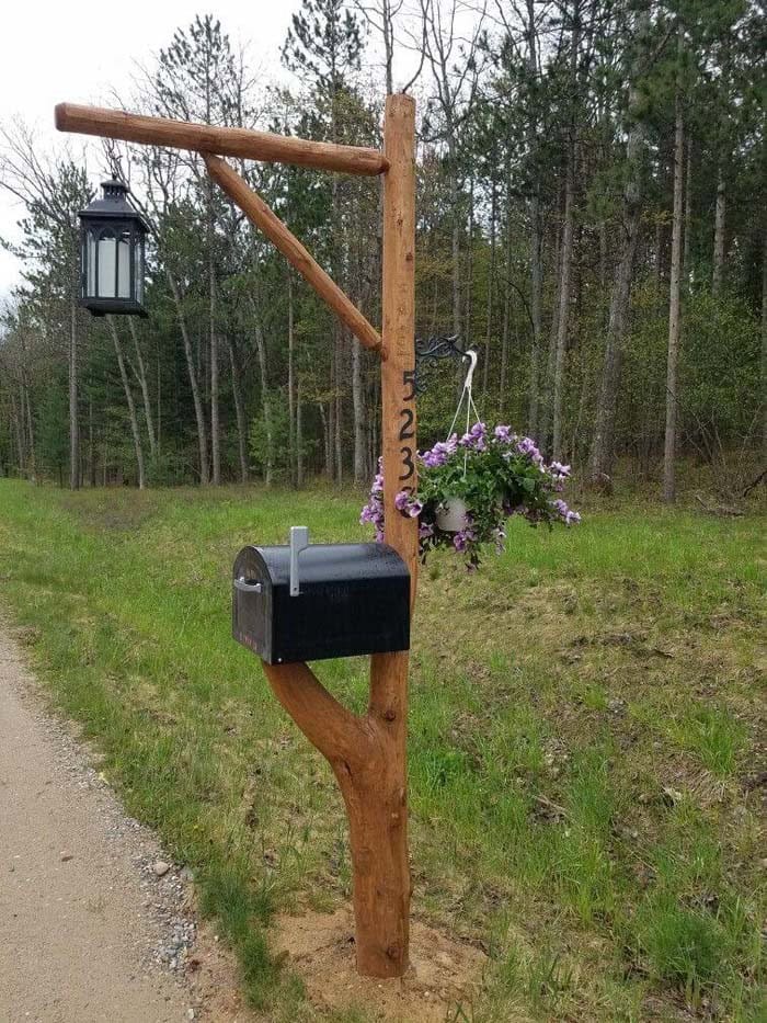 Organic Mailbox Post From Tree Branches