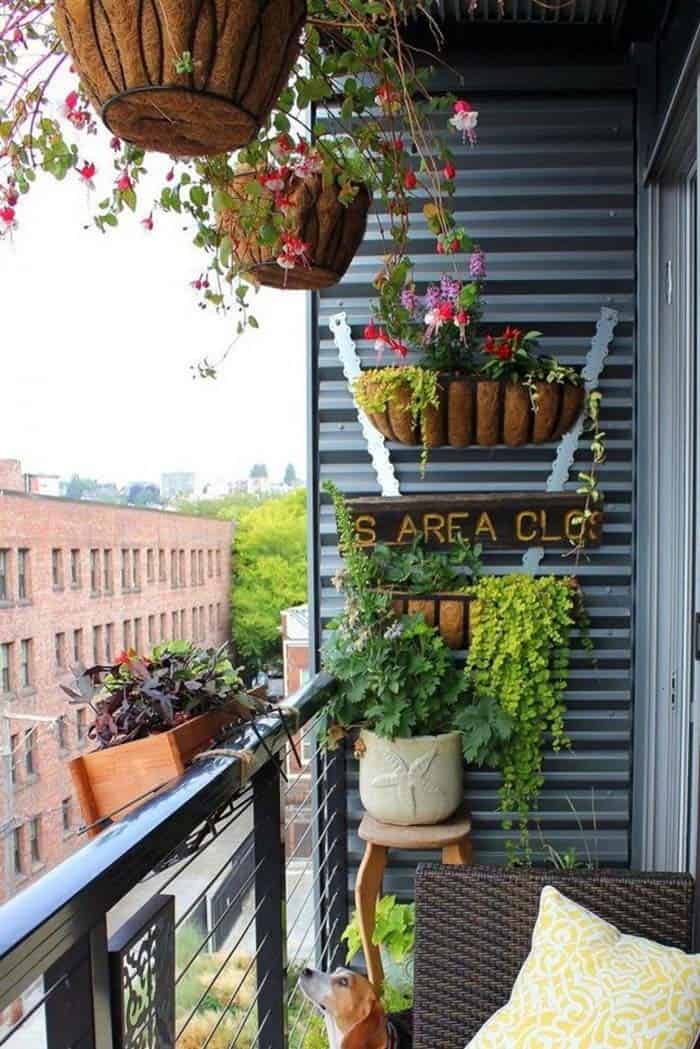 Bring Your Small Balcony to Life with Flowers