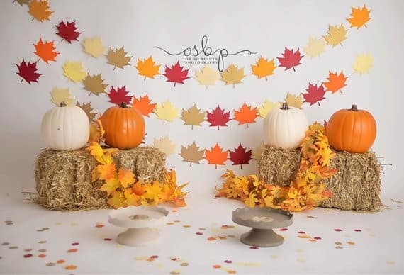 Upgrade Home Decor with a Maple Leaf Garland