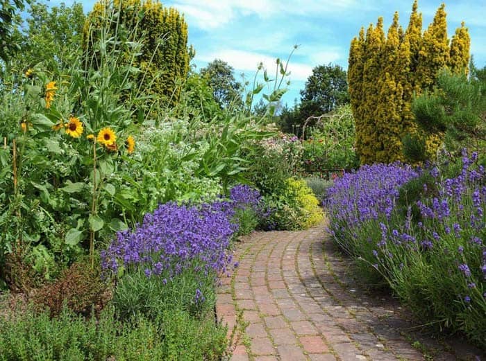 Verdant English Garden Path