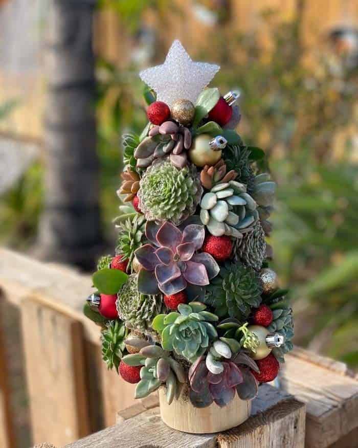 Get Farmhouse Charm with Cedar Wood Succulent Tree