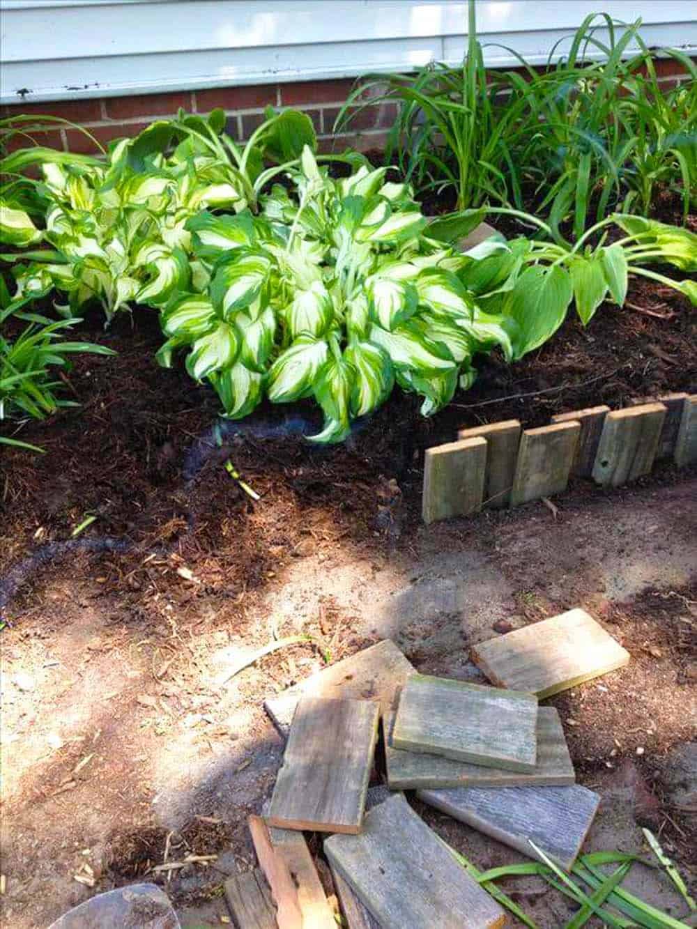 Garden Revitalization Project