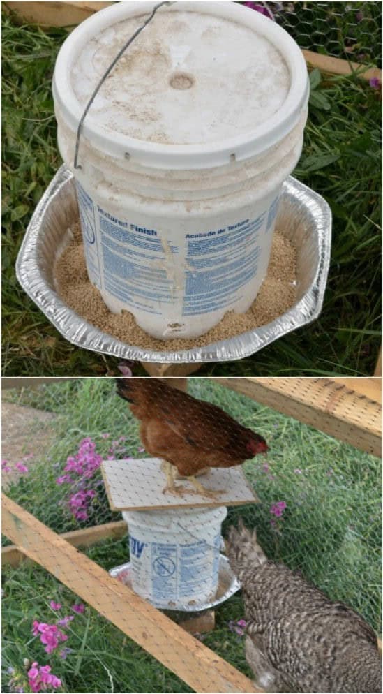 DIY Chicken Feed Dispenser