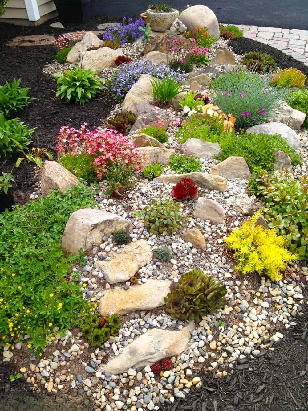 Rock Garden Splendor