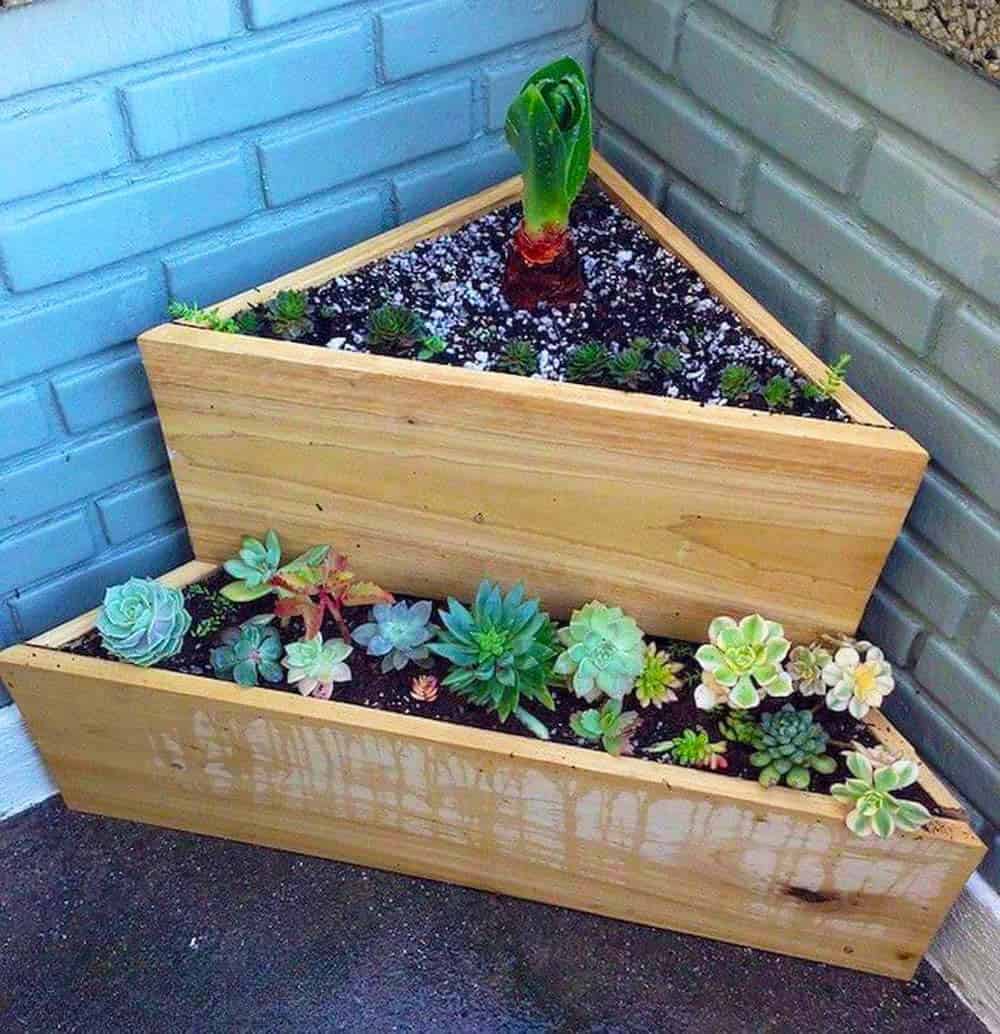 Tiered Succulent Planter