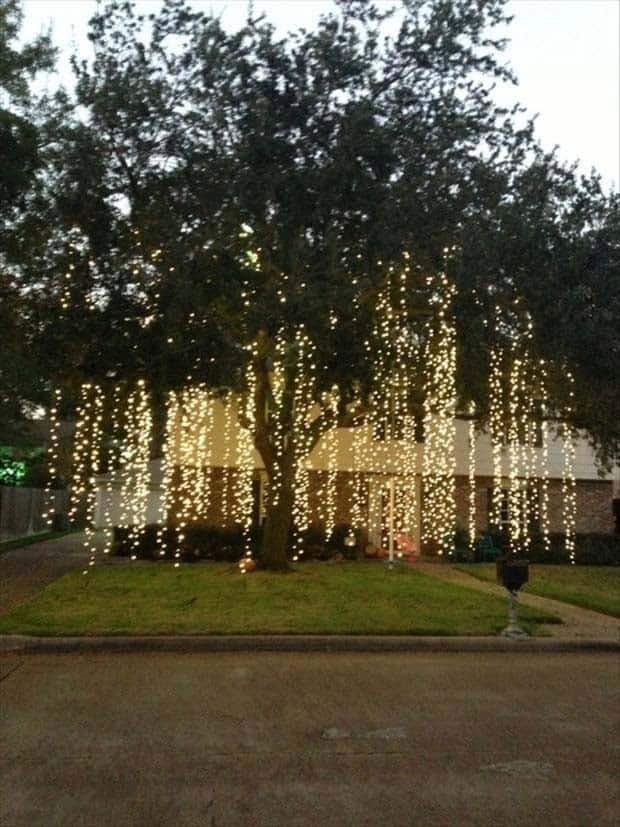 Light Up Outdoors with Draping Lights on a Tree