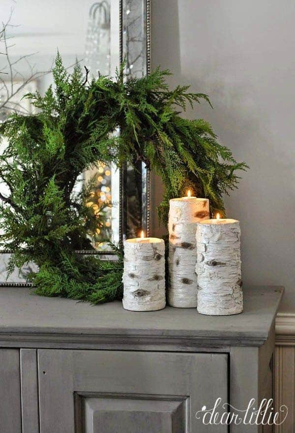 Natural Birch And Evergreens