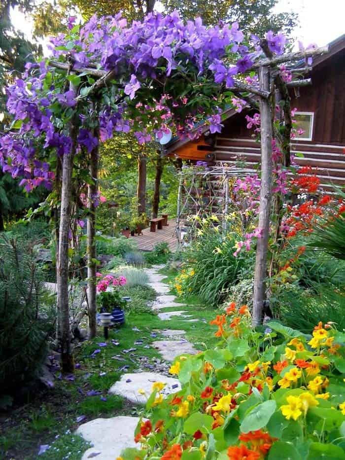 Rustic Wooden Pergola