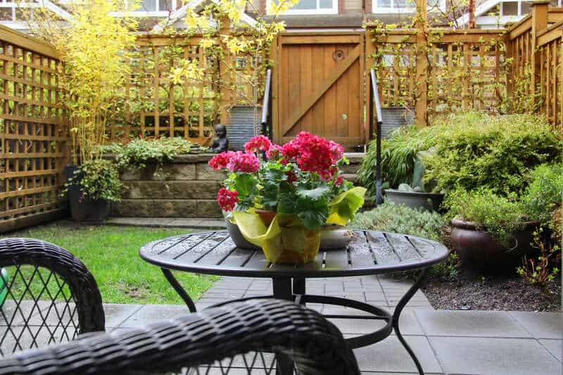 Patio With A Privacy Screen