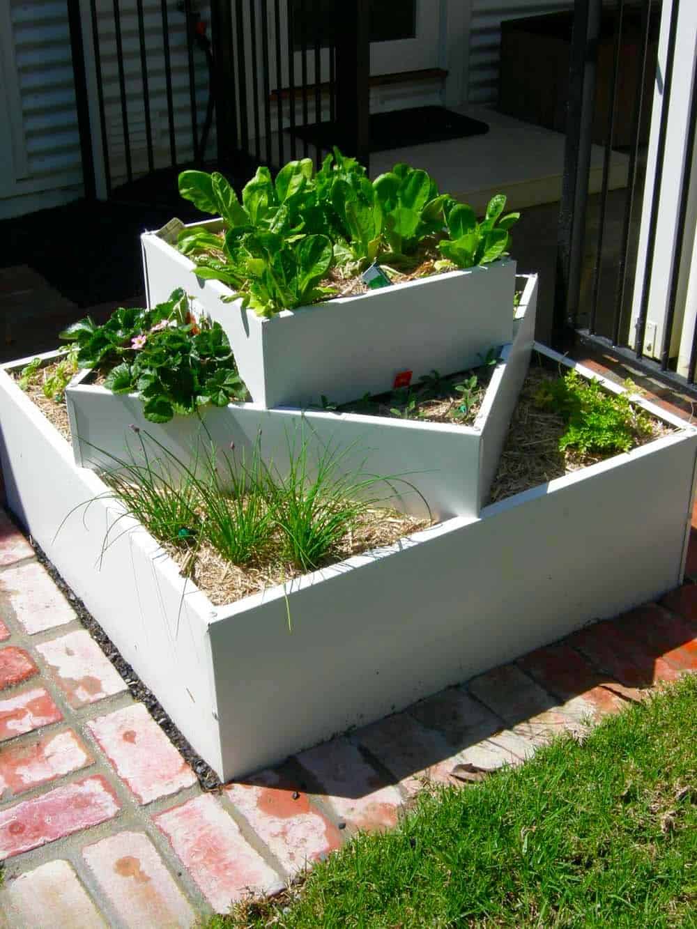 Geometric Planter Display