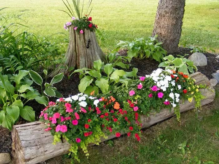 Tree Stump Gardening Idea