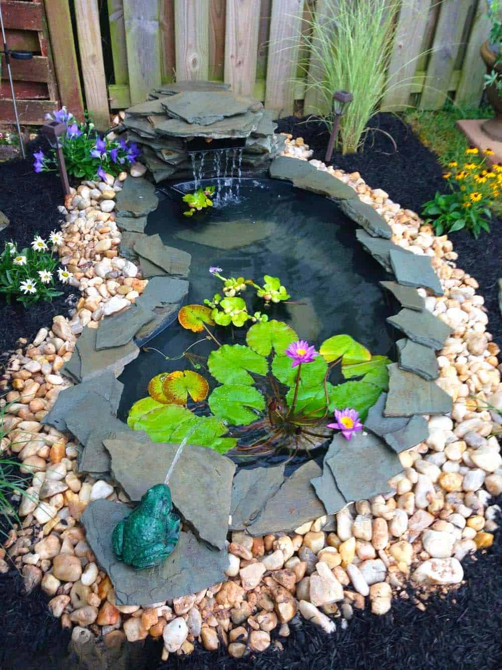 Backyard Pond Oasis