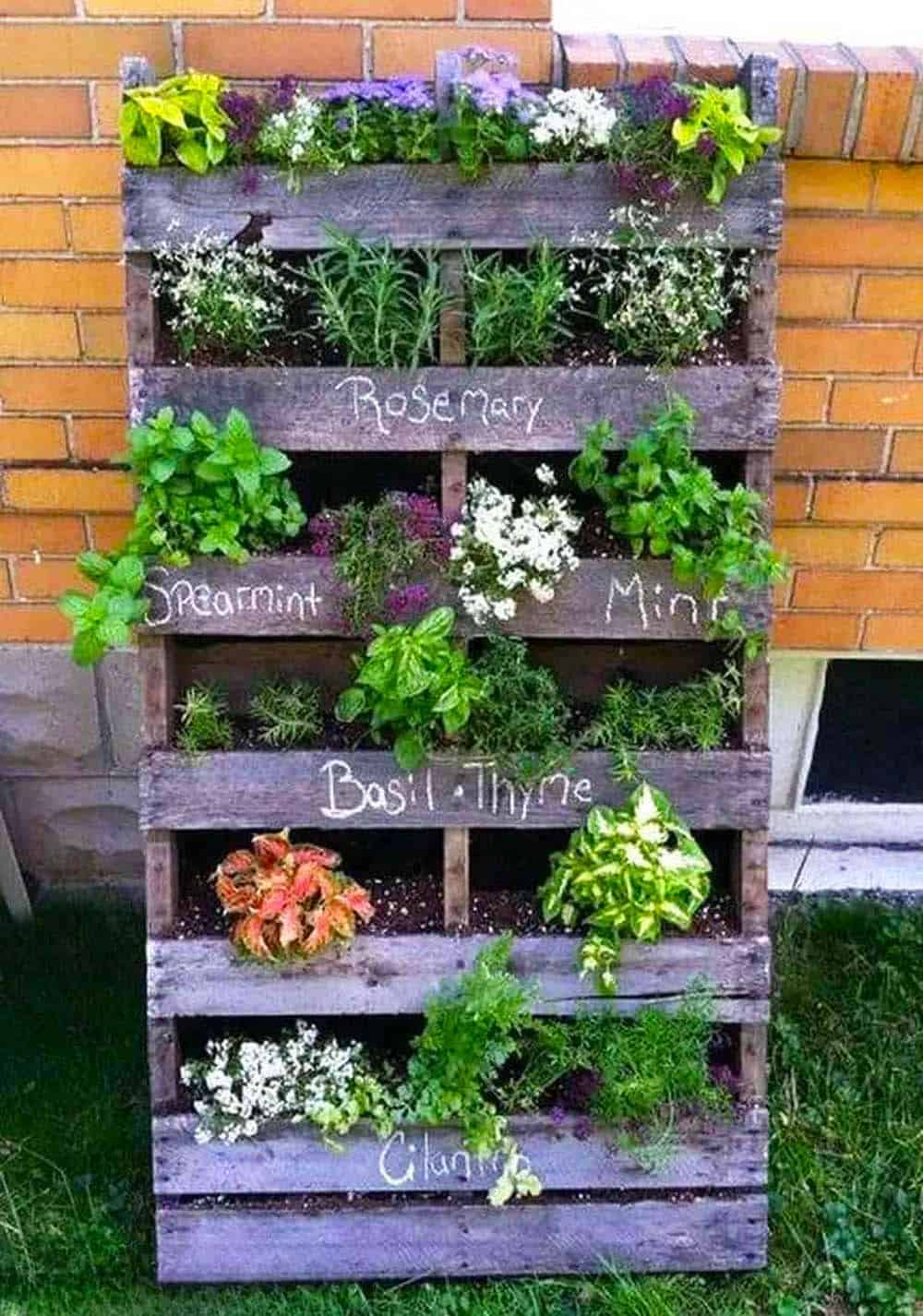 Herb Garden Palette