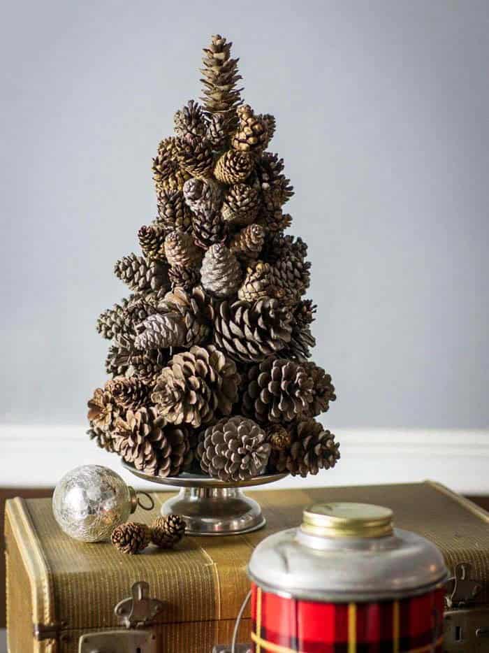 Pinecone Statement Tree