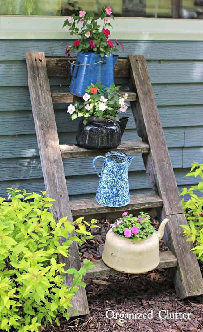 Repurpose Tea and Coffee Pots as Plant Containers