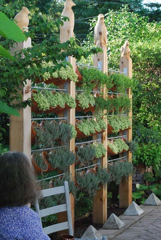 Hanging Garden Privacy Plants