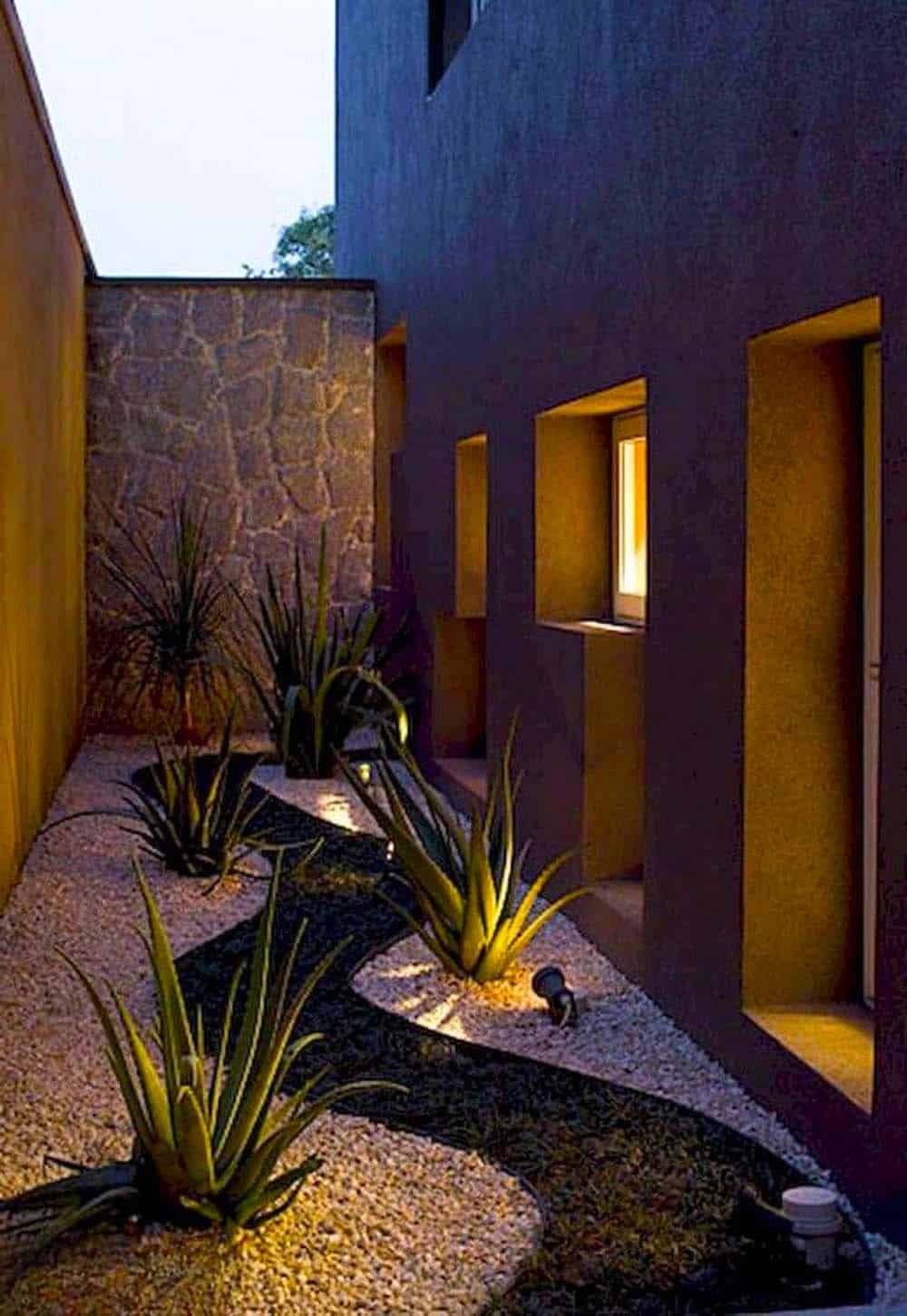 Nocturnal Desert Elegance