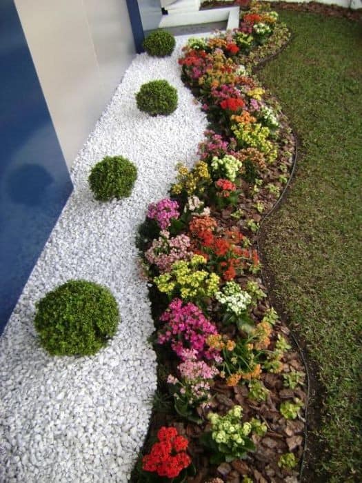 Showcase Your Creativity with a Vibrant Curved Garden