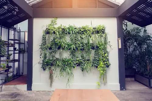 A Green Waterfall To Impress Your Guests