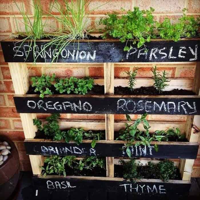 Bring Farmhouse Charm with a Pallet Herb Garden