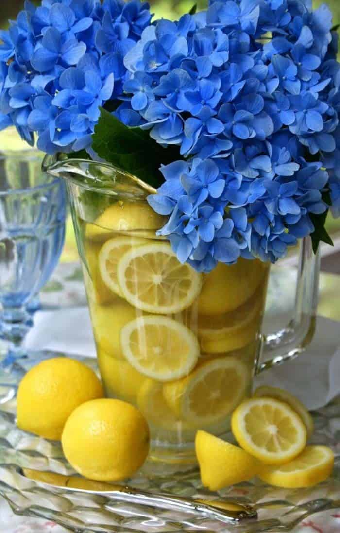 Hydrangeas And Lemons