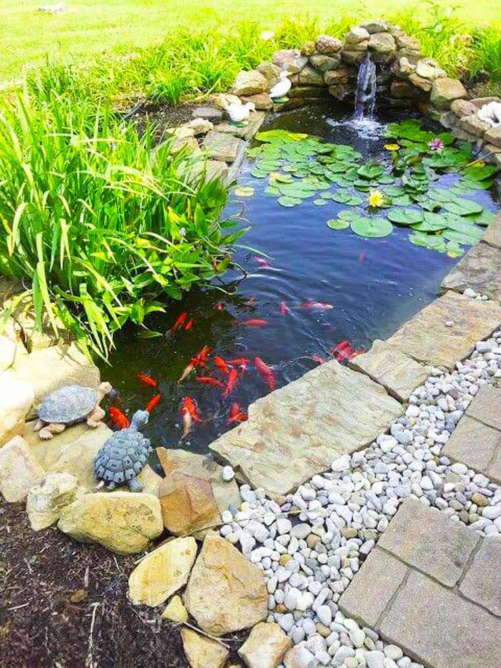 Turtle Pond Oasis