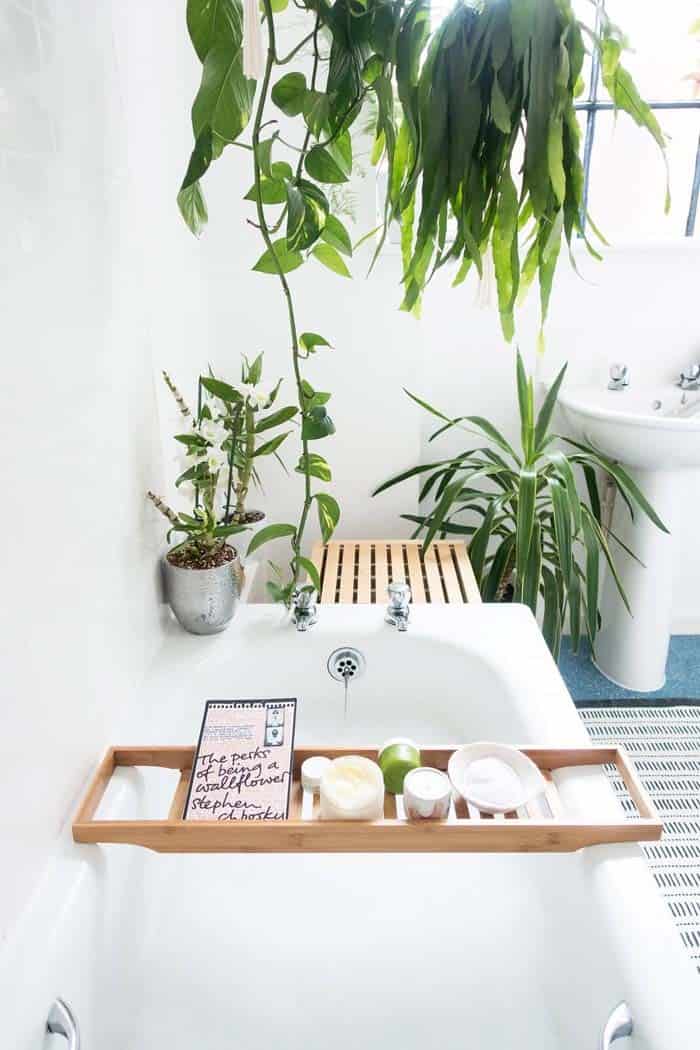 Relaxing Natural Bath With Plants