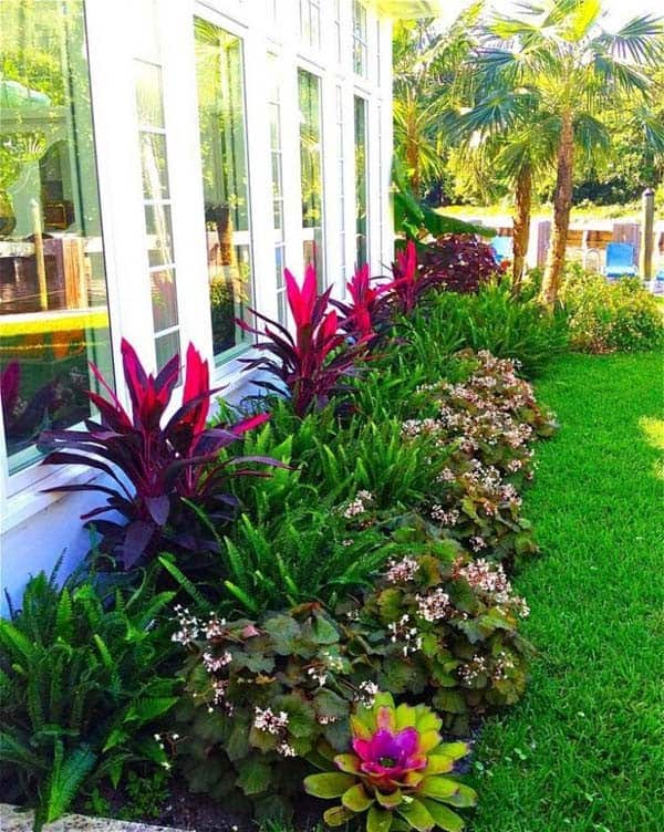 Make Your Landscape Intriguing with Exotic Flowers